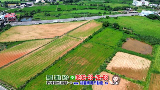 觀音農地-8