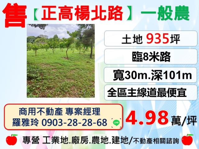 龍潭農地-1