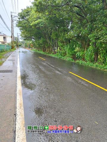 龍潭農地-6