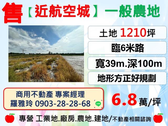 大園農地-1