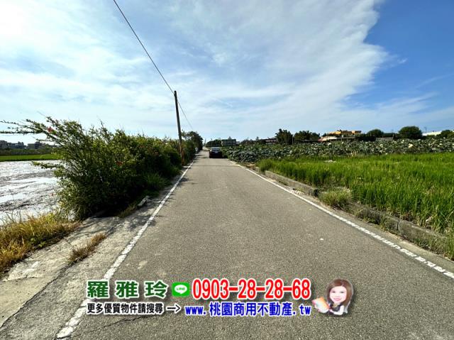 大園農地-3