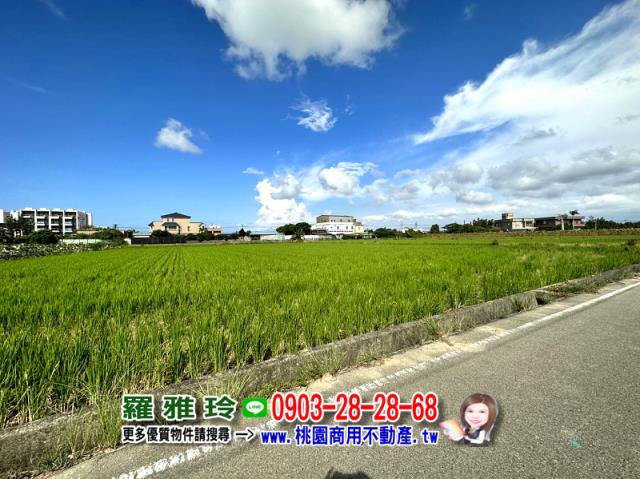 大園農地-4