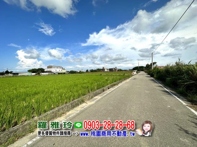 大園農地-5