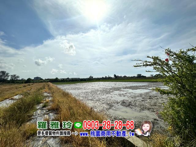 大園農地-6
