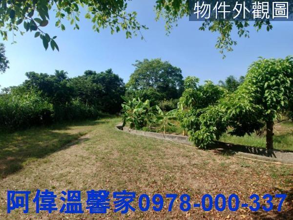 香山農地-1