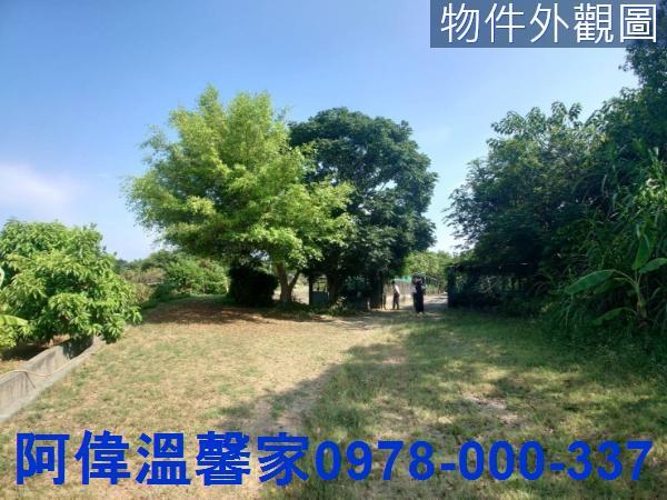 香山農地-2