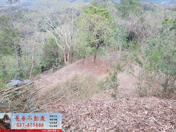 苗栗農地-1
