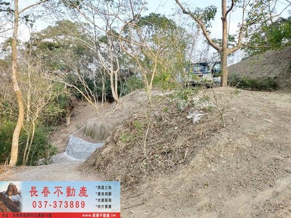 苗栗農地-3