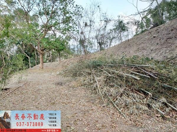 苗栗農地-4