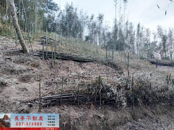 苗栗農地-5