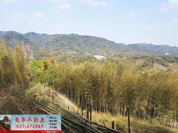 苗栗農地-6