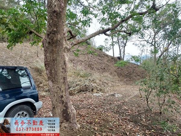 苗栗農地-7