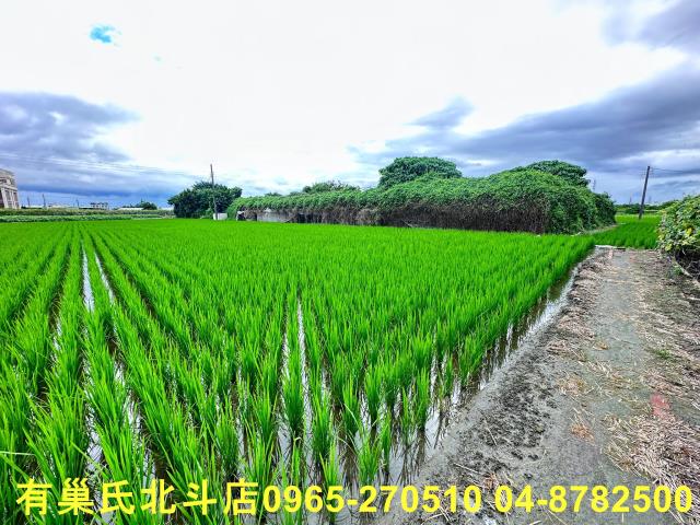 溪湖農地-10