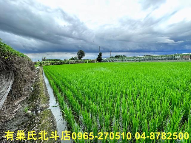 溪湖農地-4