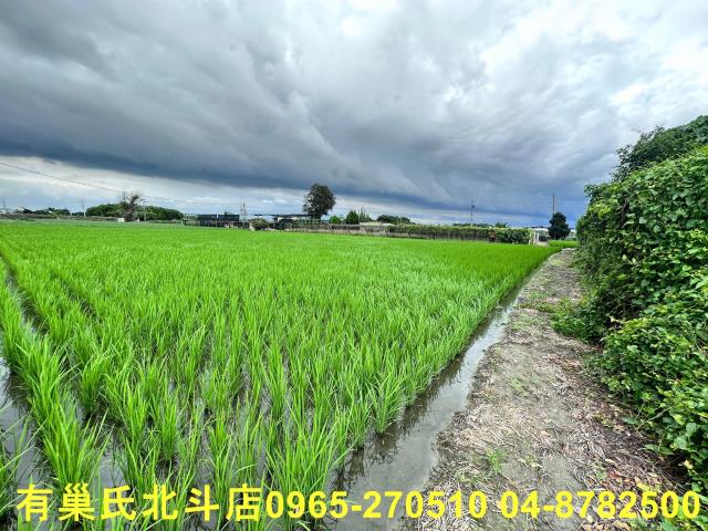 溪湖農地-5