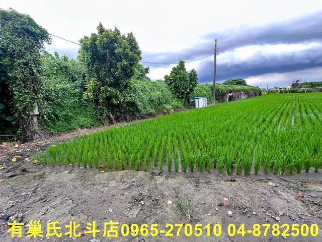 溪湖農地-6