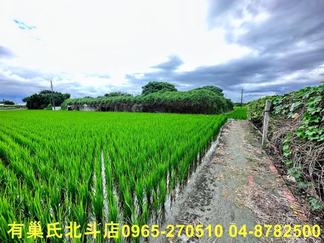 溪湖農地-7