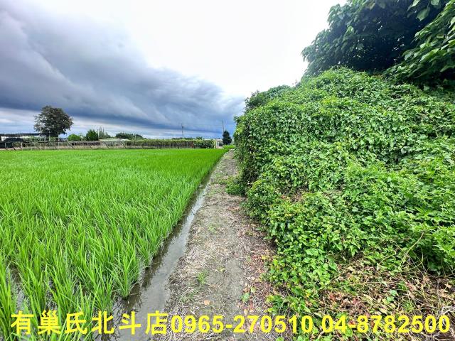 溪湖農地-9