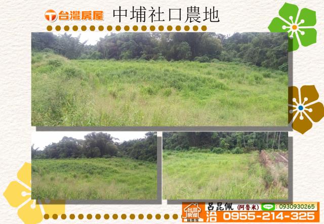 嘉義中埔農地-1