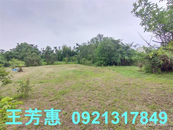 后里農地-6