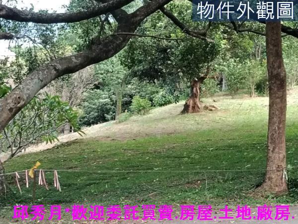 三芝農地-5