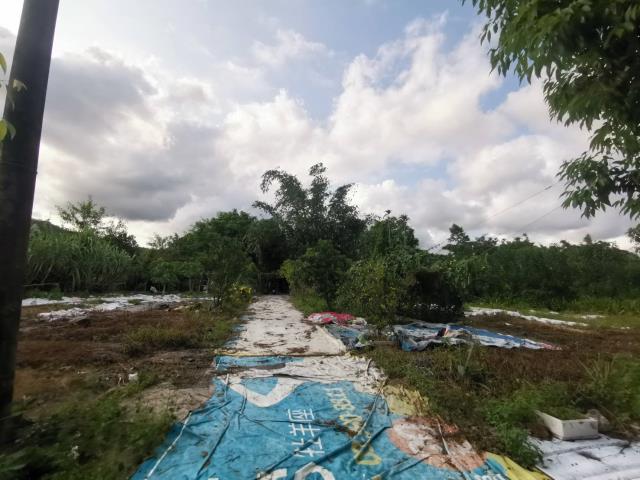 宜蘭員山農地-3