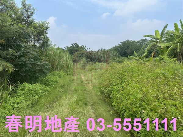 新竹橫山農地-1