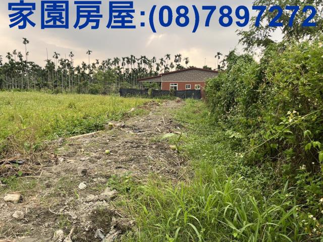 屏東竹田農地-1
