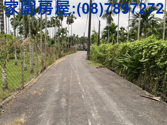 屏東竹田農地-4