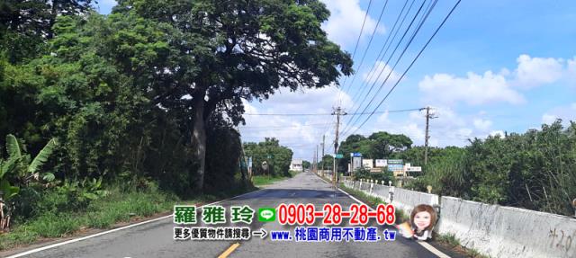 觀音農地-9
