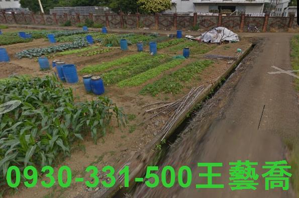 桃園農地-3