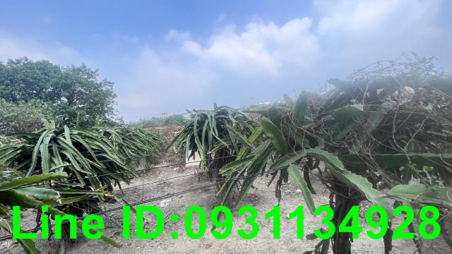 台中后里農地-1
