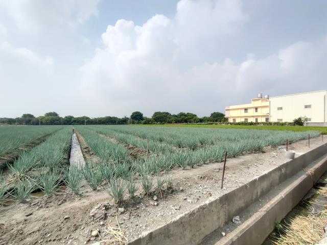 彰化埔鹽農地-3