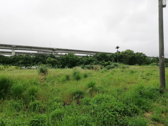 桃園中壢農地-7