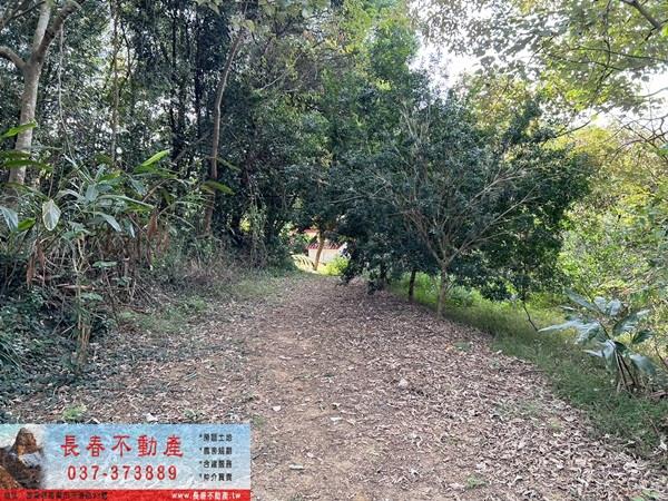 苗栗頭屋農地-5