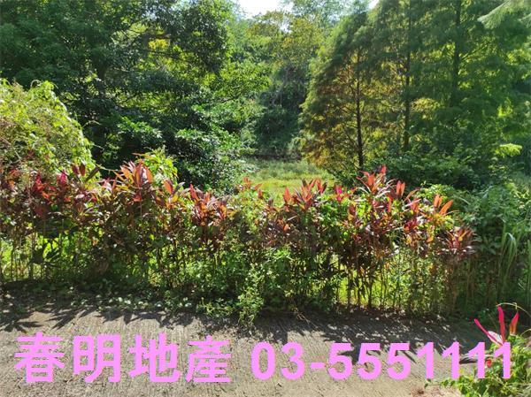 新竹竹東農地-11