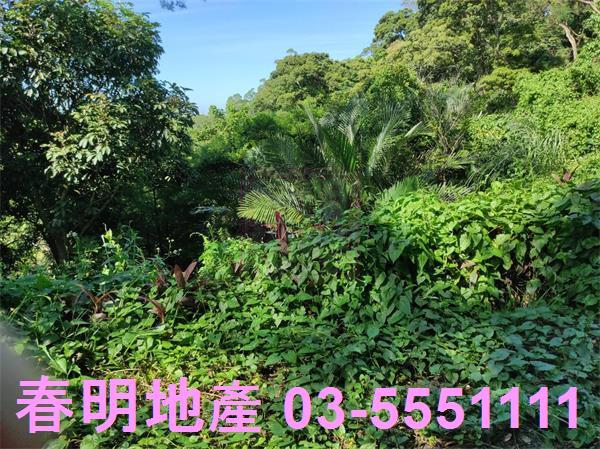 新竹竹東農地-12