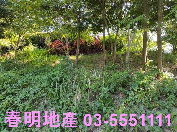 新竹竹東農地-13
