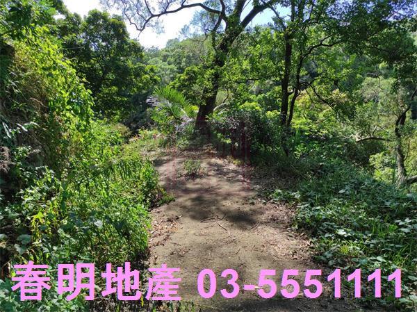 新竹竹東農地-14