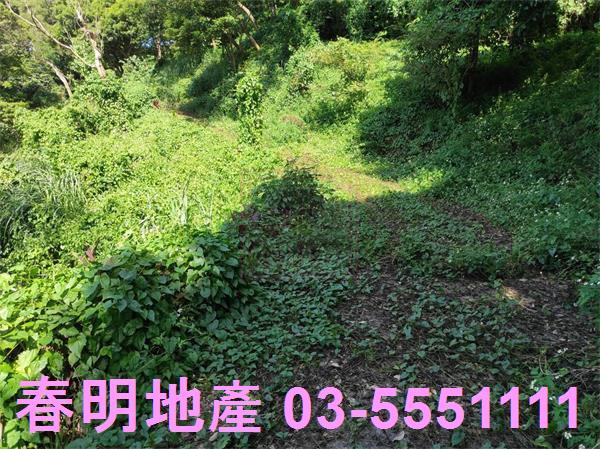 新竹竹東農地-15