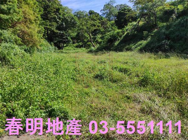 新竹竹東農地-1