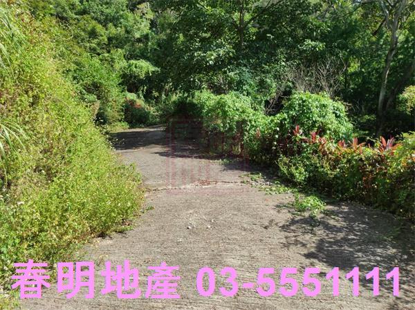 新竹竹東農地-2