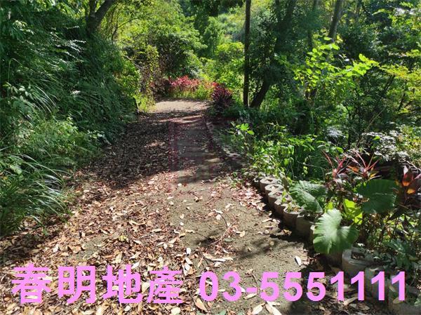 新竹竹東農地-3