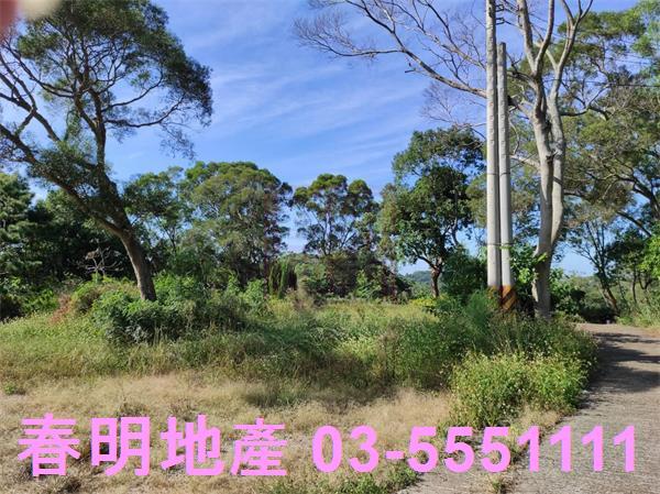 新竹竹東農地-4
