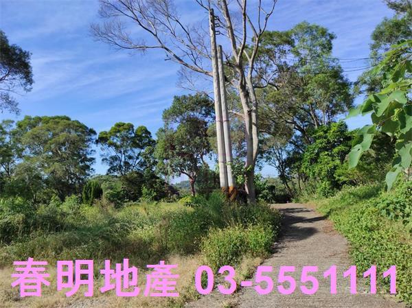 新竹竹東農地-5