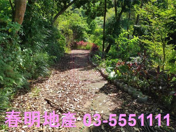 新竹竹東農地-6