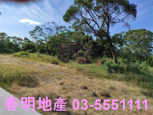新竹竹東農地-8