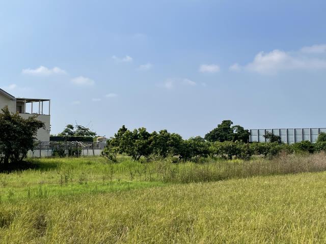 歸仁農地-4