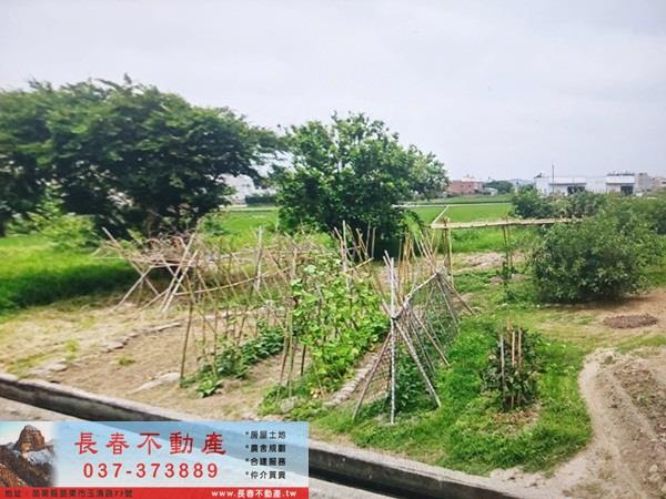 苗栗苑裡農地-3