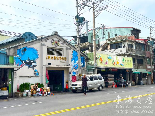 台中大肚建地-2